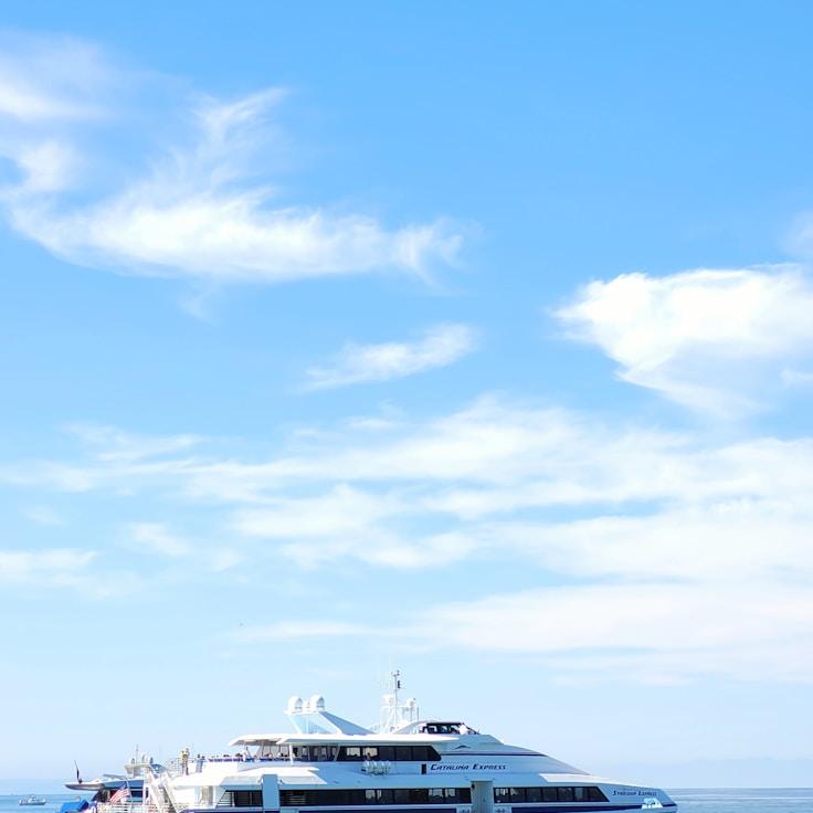 Marine adventure snapshot